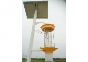 LED午夜福利视频在线播放