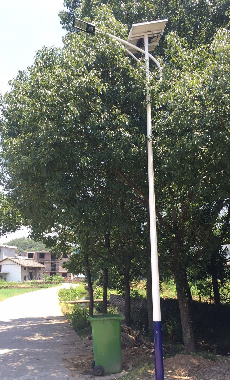 江西午夜福利视频在线播放